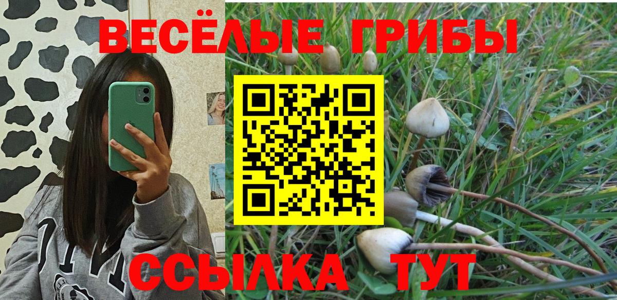Галлюциногенные грибы MAGIC MUSHROOMS Мценск