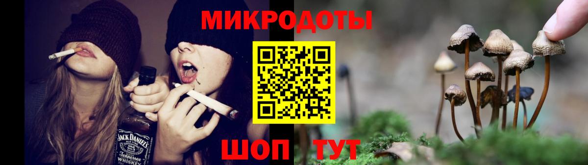 где продают   Галлюциногенные грибы прущие грибы  Вход с VPN  Псилоцибиновые грибы Magic Shrooms  Мценск 